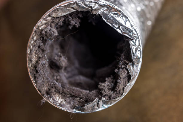 Best HVAC Air Duct Cleaning  in Edinburg, TX